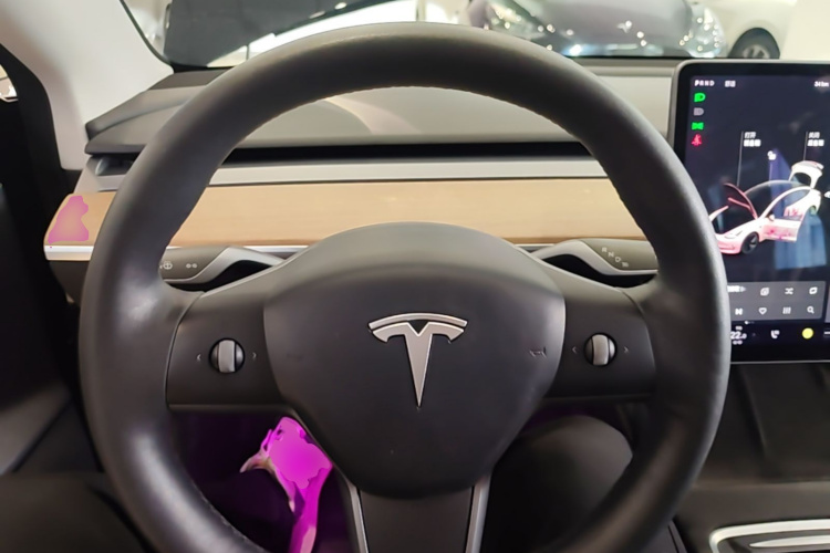 Tesla Model 3 2021 #11 Tesla Model 3 2021 car image #11