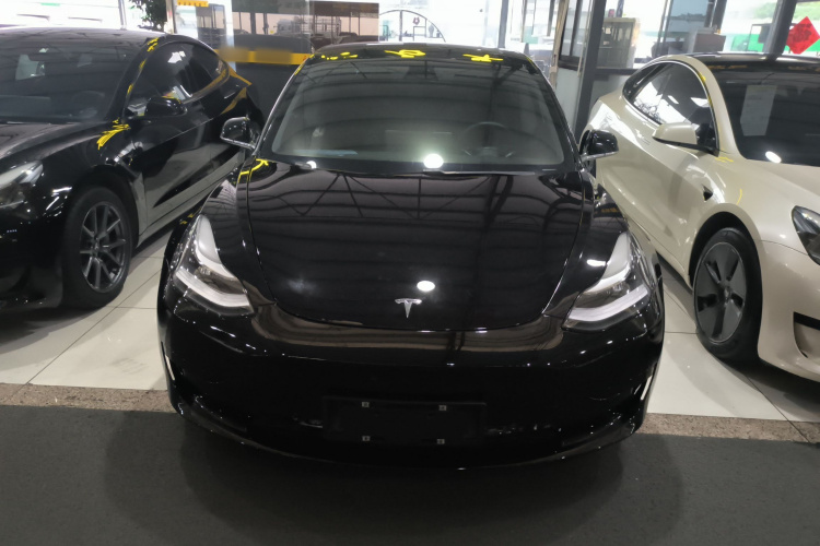 Tesla Model 3 2020 #3 Tesla Model 3 2020 car image #3