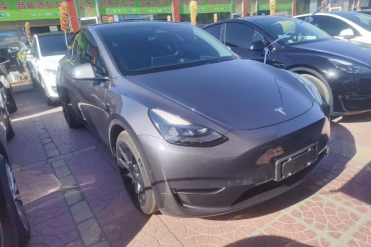 Tesla Model Y 2021 car image #4