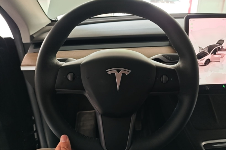Tesla Model Y 2022 car image #15