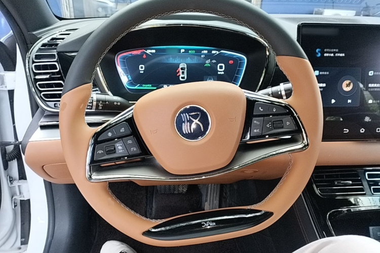BYD Han 2022 #11 BYD Han 2022 immagine di auto #11