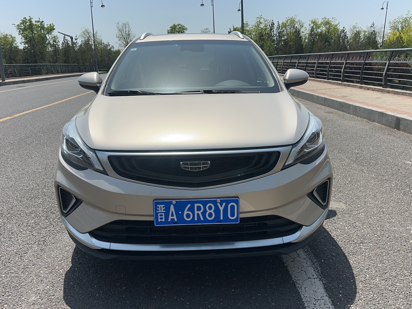 GEELY Emgrand GS 2020 imagem de carro #6
