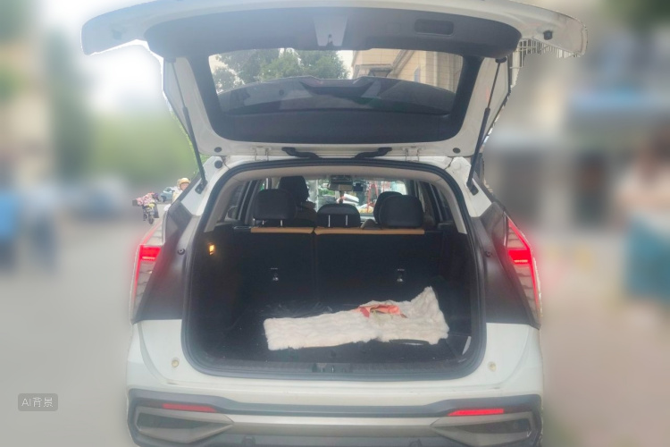 GEELY Boyue L 2023 car image #21