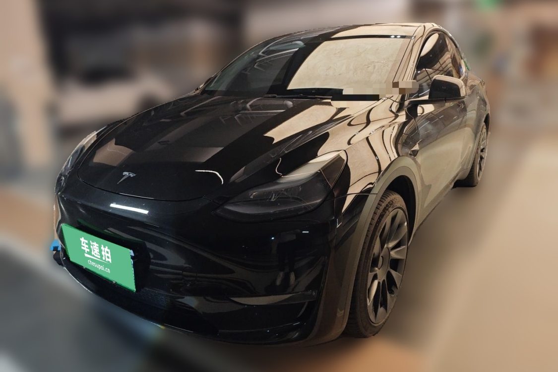 Tesla Model Y 2024 car image 