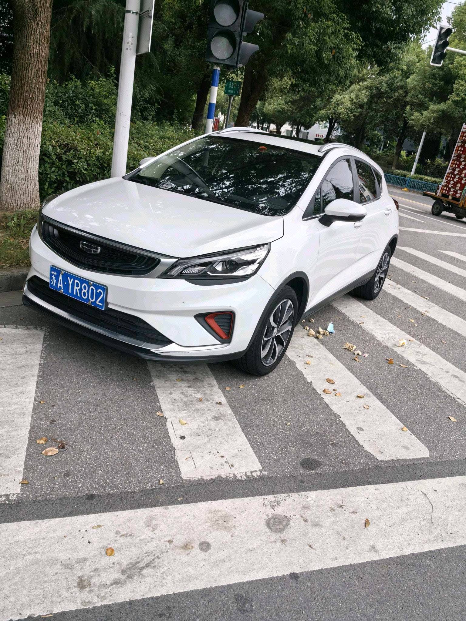 GEELY Emgrand GS 2021 GEELY Emgrand GS 2021 car image