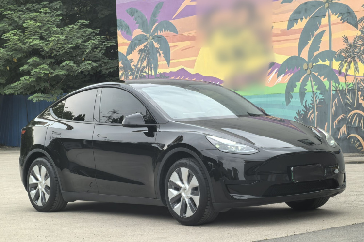 Tesla Model Y 2023 car image #4