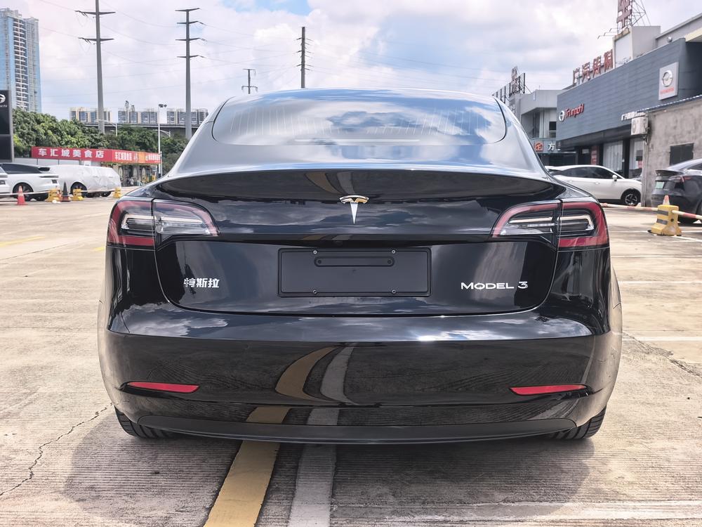 Tesla Model 3 2020 car image #6