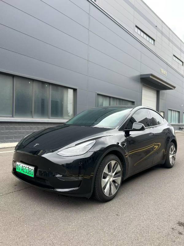 Tesla Model Y 2021 car image 