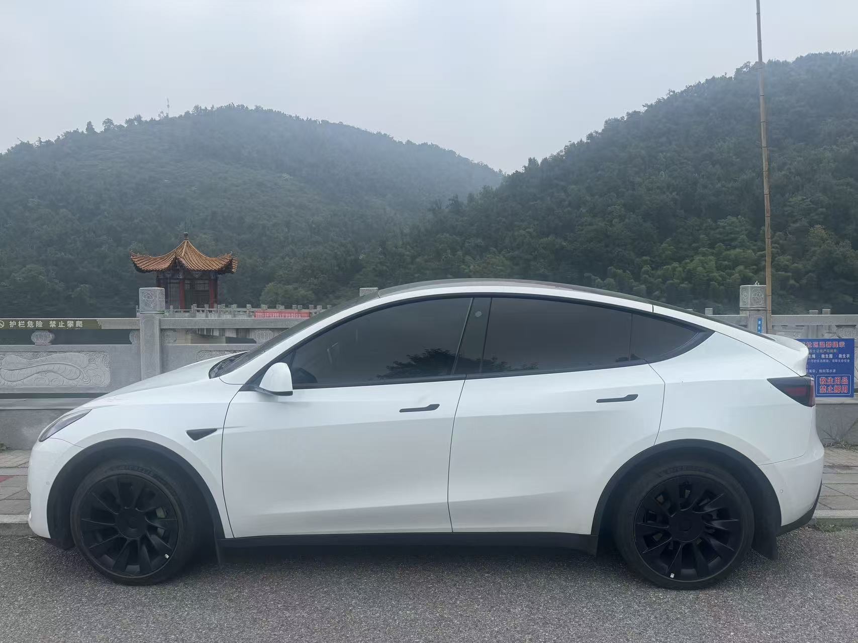 Tesla Model Y 2023 #7 Tesla Model Y 2023 car image #7
