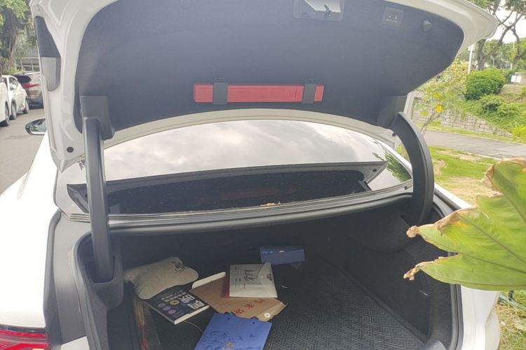BYD Han 2022 car image #19