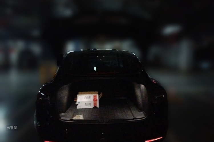 Tesla Model 3 2023 car image #21