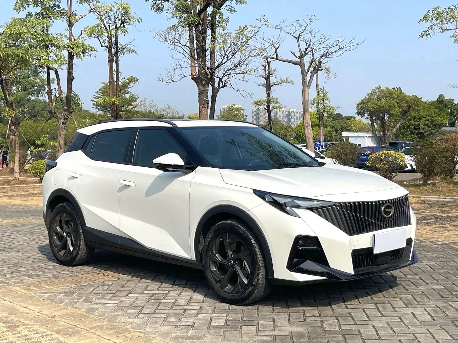 GAC Trumpchi GS3 2023 #3 GAC Trumpchi GS3 2023 car image #3