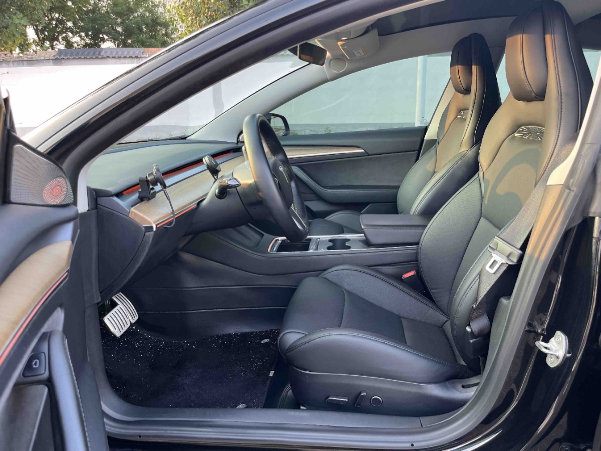 Tesla Model 3 2021 car image #6