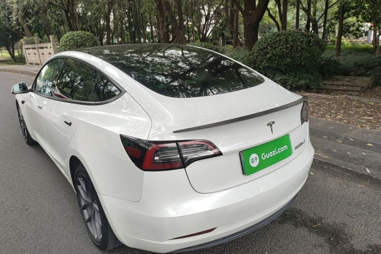 Tesla Model 3 2021 #7 Tesla Model 3 2021 immagine di auto #7