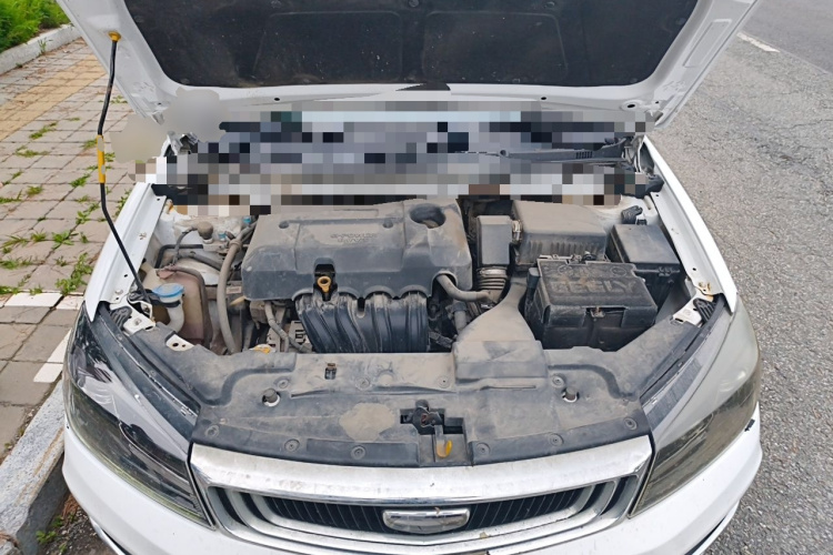 GEELY Emgrand 2020 car image #22