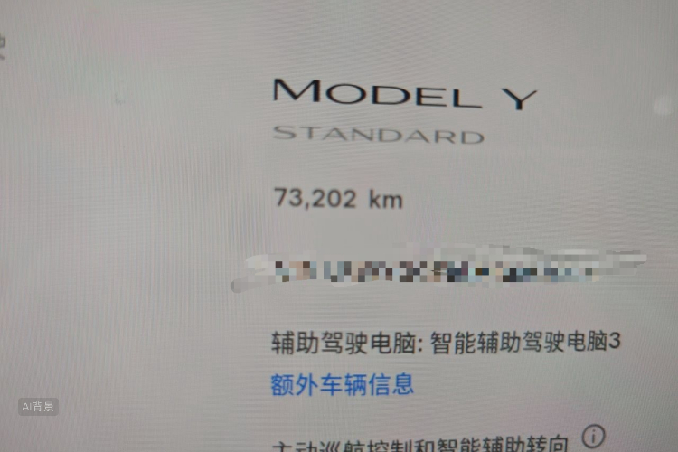 Tesla Model Y 2021 #14 Tesla Model Y 2021 car image #14