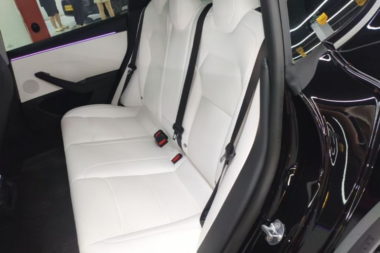 Tesla Model 3 2026 #17 Tesla Model 3 2026 car image #17