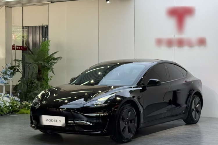 Tesla Model 3 2023 #2 Tesla Model 3 2023 car image #2