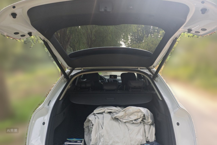 Audi Q3 2018 car image #21