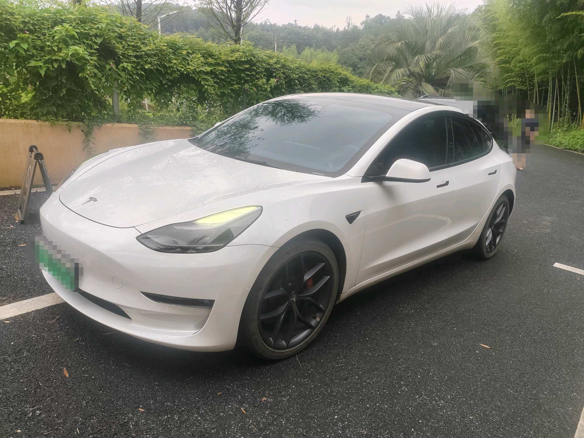 Tesla Model 3 2021 Tesla Model 3 2021 car image