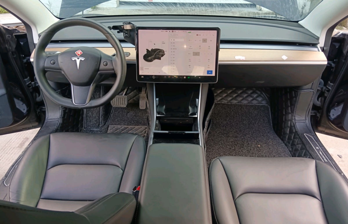 Tesla Model 3 2020 car image #6