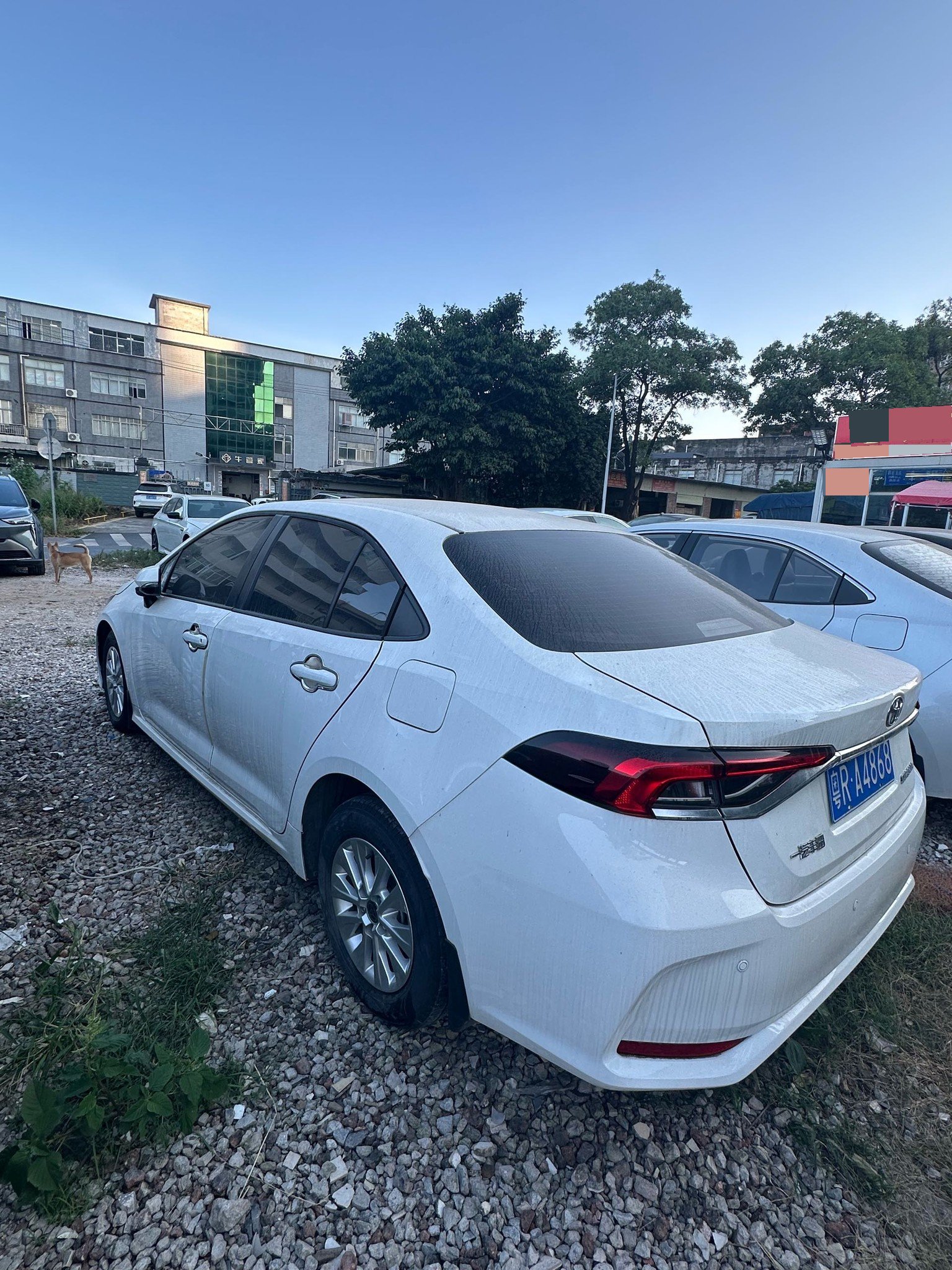 Toyota Corolla 2023 car image #5