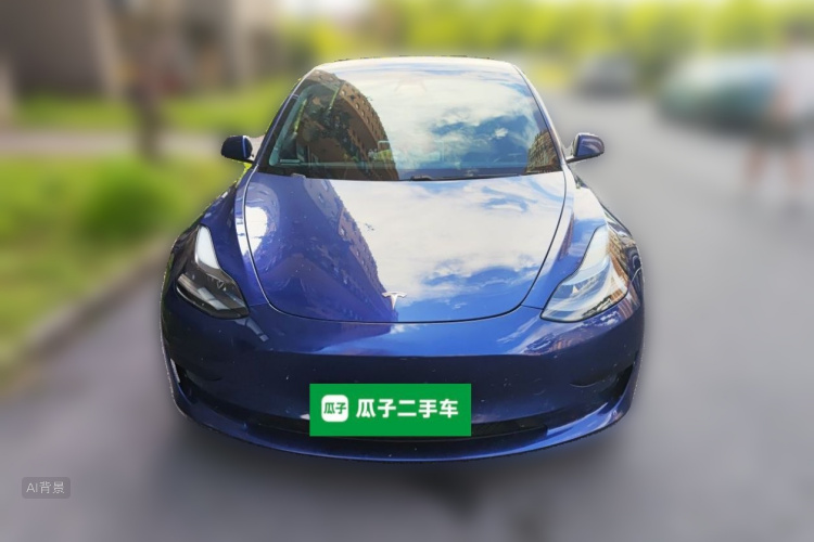 Tesla Model 3 2021 #3 Tesla Model 3 2021 car image #3
