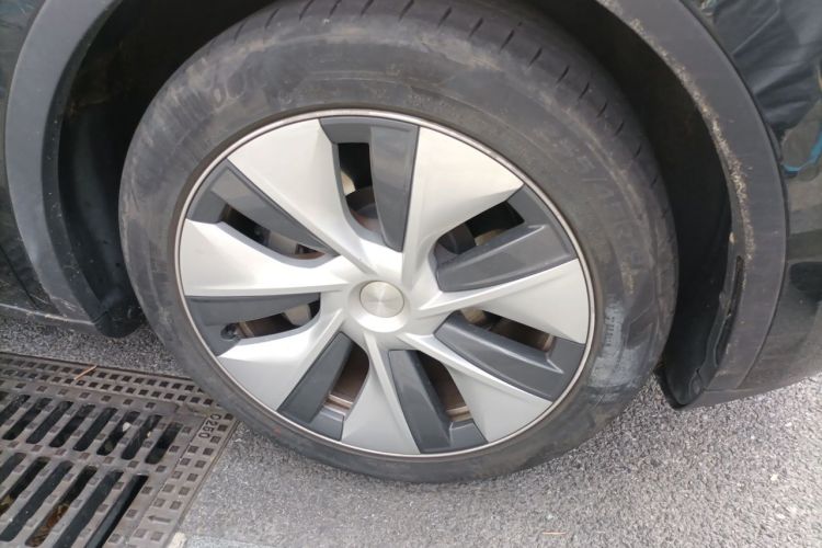 Tesla Model Y 2023 #6 Tesla Model Y 2023 car image #6