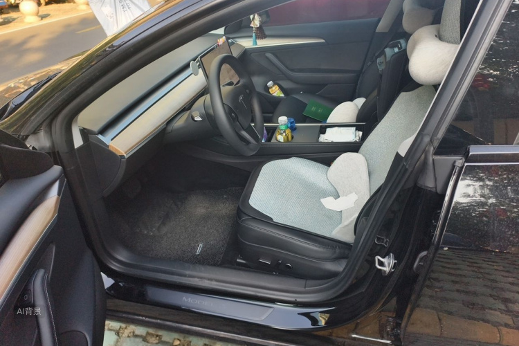 Tesla Model 3 2022 #17 Tesla Model 3 2022 car image #17