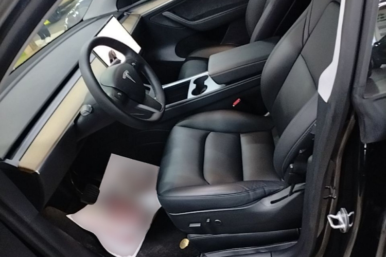 Tesla Model Y 2021 car image #15
