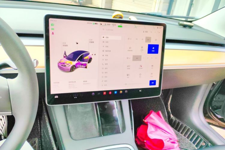 Tesla Model 3 2021 car image #13