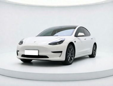 Tesla Model 3 2023 Tesla Model 3 2023 car image