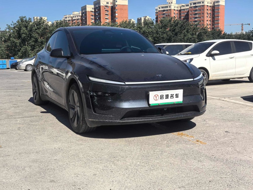 Tesla Model Y 2025 car image #3