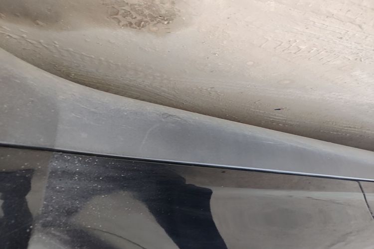 Tesla Model Y 2023 #27 Tesla Model Y 2023 car image #27