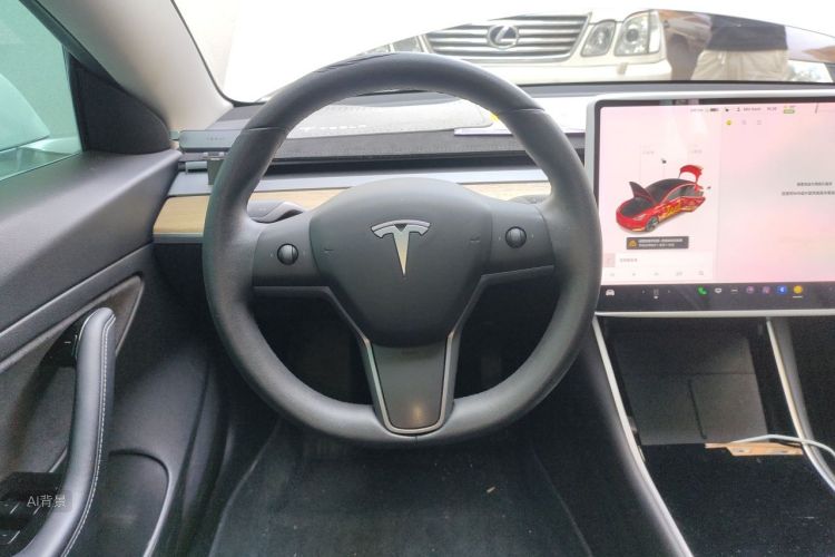 Tesla Model 3 2020 car image #12