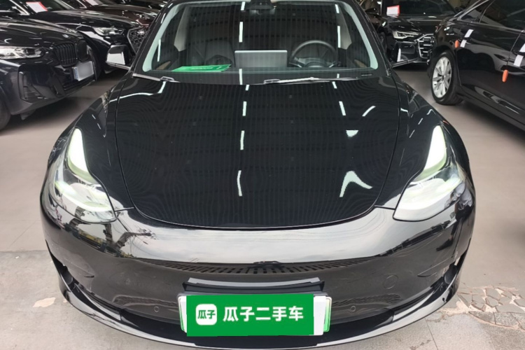 Tesla Model 3 2021 #3 Tesla Model 3 2021 изображение автомобиля #3