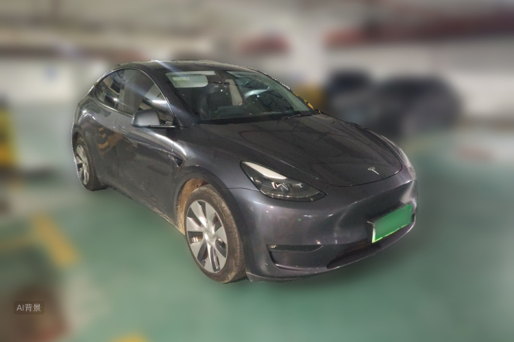 Tesla Model Y 2021 car image #4