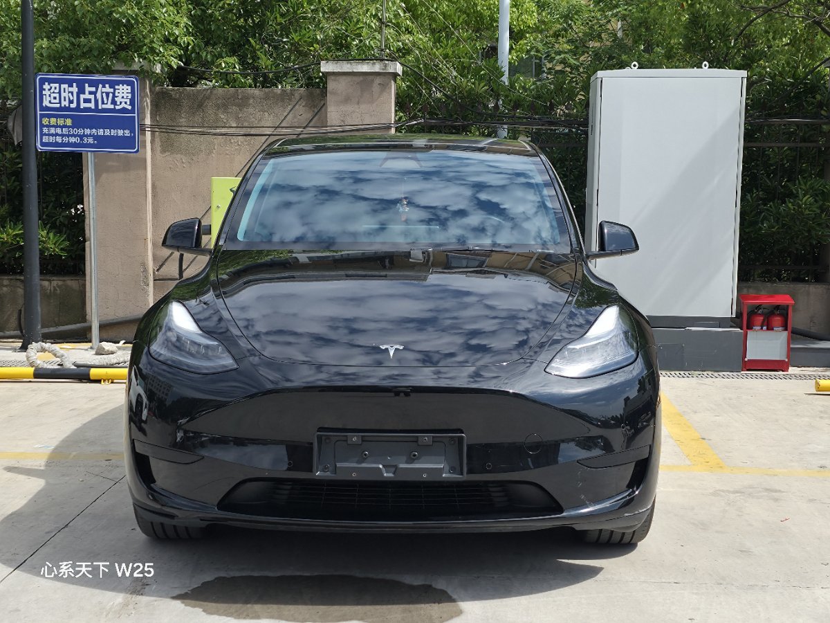 Tesla Model Y 2024 car image #2