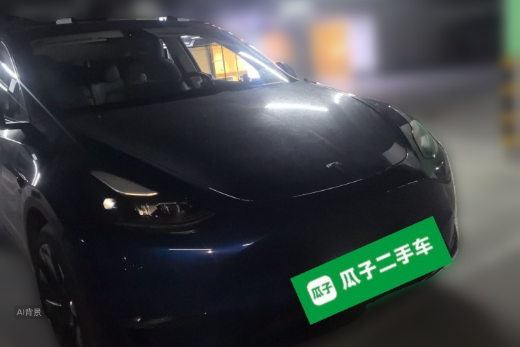 Tesla Model Y 2021 car image #4