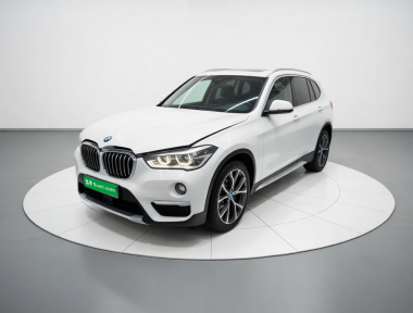 BMW X1 2019 car image 