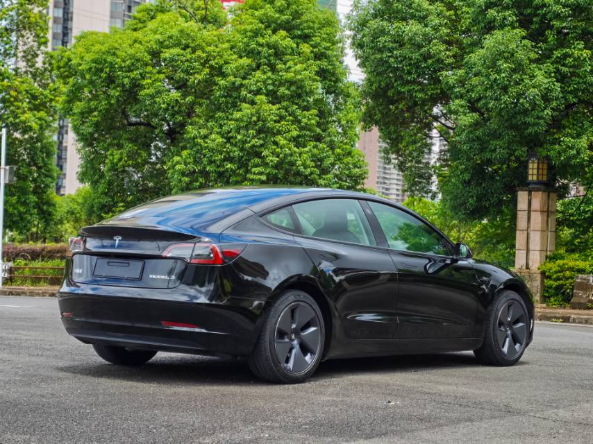 Tesla Model 3 2022 #11 Tesla Model 3 2022 car image #11