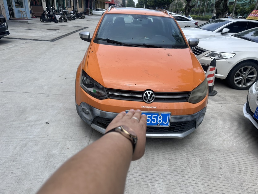 Volkswagen Polo 2013 car image 