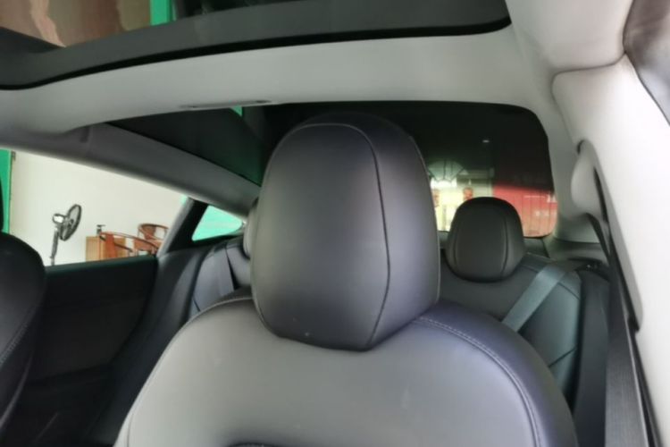 Tesla Model 3 2020 car image #18