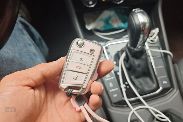 Volkswagen Lavida 2020 car image #10