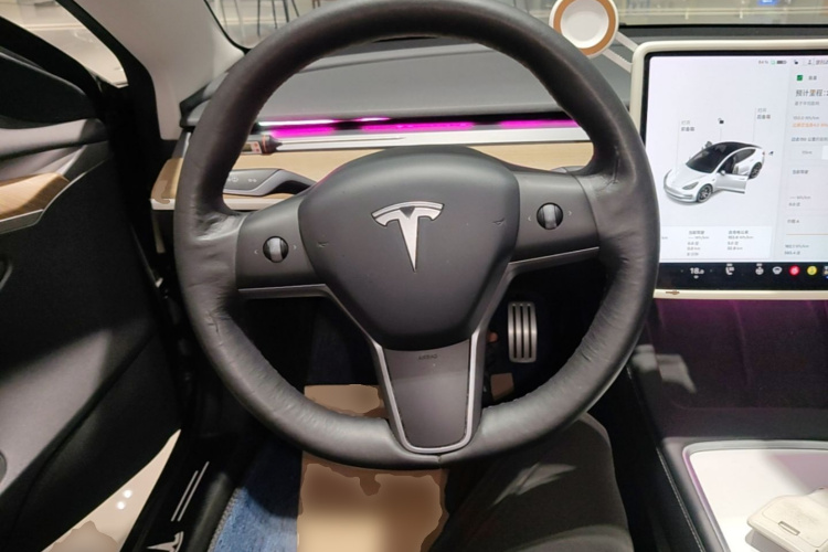 Tesla Model 3 2021 immagine di auto #11