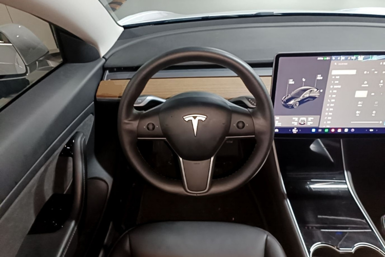 Tesla Model 3 2020 car image #11