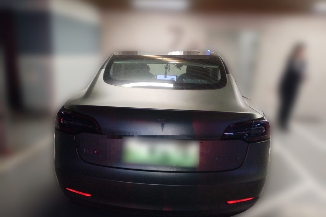 Tesla Model 3 2020 car image #6