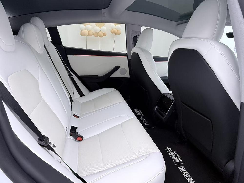 Tesla Model 3 2024 imagem de carro #28