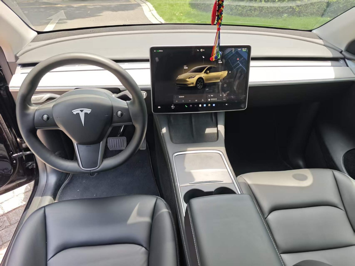 Tesla Model Y 2024 car image #6