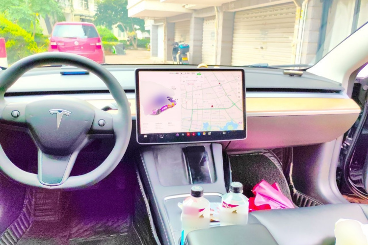 Tesla Model 3 2021 car image #7